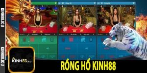 Rồng Hổ kinh88