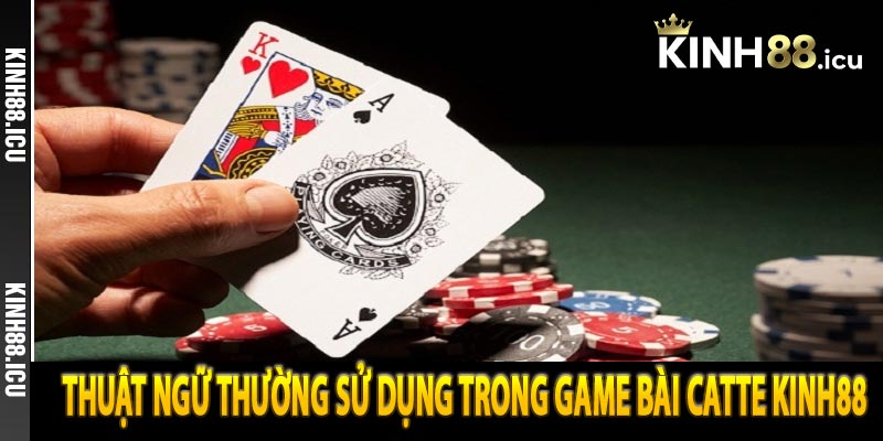 Thuật ngữ thường sử dụng trong game bài Catte Kinh88