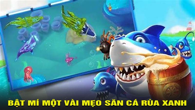 Bật mí một vài mẹo săn cá rùa xanh